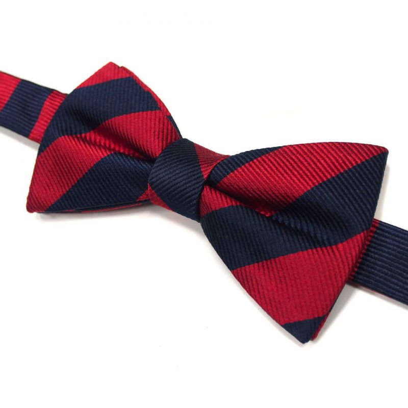Красная бабочка галстук. Галстук-бабочка. Красно синий галстук. Мужская бабочка. Мужской галстук бабочка.